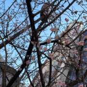 ヒメ日記 2026/02/16 20:31 投稿 ユウキ エピソード(品川)