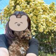 ヒメ日記 2026/05/22 09:16 投稿 ユウキ エピソード(品川)