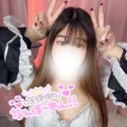 ヒメ日記 2025/12/29 19:21 投稿 なぎさ★エロと癒やしのコラボ BUNNY PLAS