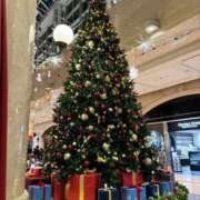 ヒメ日記 2025/12/10 23:54 投稿 ゆら ピンクコレクション大阪キタ店