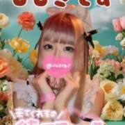 ヒメ日記 2025/11/21 00:02 投稿 ひびき C.C.CATS