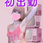 ヒメ日記 2025/11/21 07:41 投稿 ひびき C.C.CATS