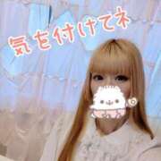 ヒメ日記 2025/11/30 13:22 投稿 ひびき C.C.CATS