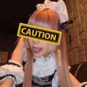 ヒメ日記 2025/12/28 16:22 投稿 ひびき C.C.CATS