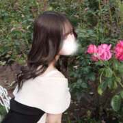 ヒメ日記 2025/12/29 02:36 投稿 紅葉さな Claris Tokyo～クラリス東京～