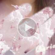 ヒメ日記 2025/11/24 12:45 投稿 ダリア Ace(エース)