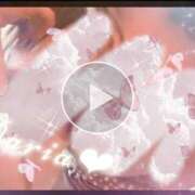 ヒメ日記 2025/11/25 11:45 投稿 ダリア Ace(エース)