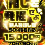 ヒメ日記 2025/11/25 14:45 投稿 ダリア Ace(エース)