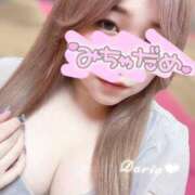 ダリア やはり早め？？！ Ace(エース)