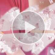 ヒメ日記 2025/12/09 15:02 投稿 ダリア Ace(エース)