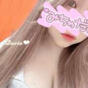 ヒメ日記 2025/12/09 19:03 投稿 ダリア Ace(エース)