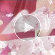 ヒメ日記 2025/12/11 13:45 投稿 ダリア Ace(エース)