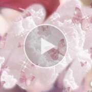 ヒメ日記 2025/12/20 11:45 投稿 ダリア Ace(エース)