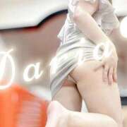 ヒメ日記 2025/12/31 11:30 投稿 ダリア Ace(エース)