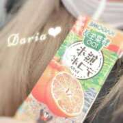 ヒメ日記 2026/01/07 19:15 投稿 ダリア Ace(エース)