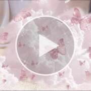 ヒメ日記 2026/02/09 12:16 投稿 ダリア Ace(エース)