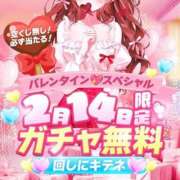 ヒメ日記 2026/02/14 10:15 投稿 ダリア Ace(エース)