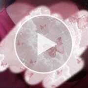 ヒメ日記 2026/03/13 12:17 投稿 ダリア Ace(エース)