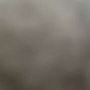 ヒメ日記 2026/01/01 15:14 投稿 れい E+アイドルスクール品川店