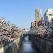 ヒメ日記 2026/04/01 21:57 投稿 沙弥香（さやか） 不倫快感