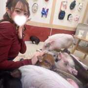 ヒメ日記 2026/01/08 17:00 投稿 みゆう ギャルコレクション