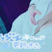 ヒメ日記 2026/04/12 16:48 投稿 らむね 愛姫～ラブひめ～