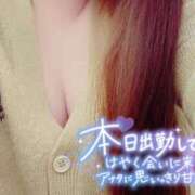 ヒメ日記 2026/04/27 14:33 投稿 らむね 愛姫～ラブひめ～