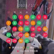 ヒメ日記 2025/11/28 15:22 投稿 みらい JAPAN CLUB BUNNY LOUNGE