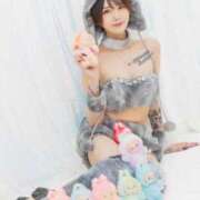 ヒメ日記 2025/11/29 12:20 投稿 みらい JAPAN CLUB BUNNY LOUNGE