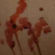 ヒメ日記 2025/12/18 14:43 投稿 麗華（れいか） 元祖神戸Ｍ性感～Ｍ・ｉｎｇ～