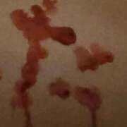 ヒメ日記 2025/12/18 21:16 投稿 麗華（れいか） 元祖神戸Ｍ性感～Ｍ・ｉｎｇ～