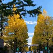 ヒメ日記 2025/11/25 12:18 投稿 赤塚えま 月の真珠-新宿-