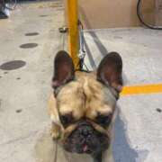 ヒメ日記 2025/11/26 18:12 投稿 赤塚えま 月の真珠-新宿-