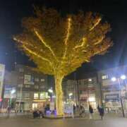 赤塚えま 💎明日のご案内💎 月の真珠-新宿-