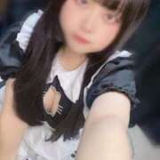 ヒメ日記 2025/11/23 09:35 投稿 うさ 兵庫加東小野ちゃんこ