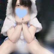 ヒメ日記 2025/12/13 08:35 投稿 うさ 兵庫加東小野ちゃんこ