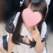 ヒメ日記 2025/12/15 11:30 投稿 うさ 兵庫加東小野ちゃんこ