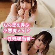 ヒメ日記 2025/11/25 15:02 投稿 ありい ピンキーエコ