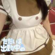 ヒメ日記 2026/08/29 20:42 投稿 あおい ラズベリードール