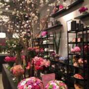 清純こはる ドキドキ…💜 BLENDA V.I.P東京店