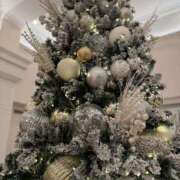 清純こはる 少し… BLENDA V.I.P東京店