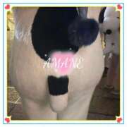 ヒメ日記 2025/12/09 20:29 投稿 あまね 密着指導！バカンス学園 尼崎校