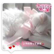 ヒメ日記 2026/01/12 06:48 投稿 あまね 密着指導！バカンス学園 尼崎校