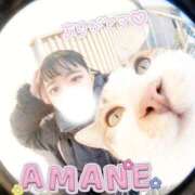 ヒメ日記 2026/02/22 15:34 投稿 あまね 密着指導！バカンス学園 尼崎校