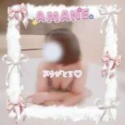 ヒメ日記 2026/02/26 03:04 投稿 あまね 密着指導！バカンス学園 尼崎校