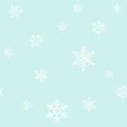 ヒメ日記 2025/11/23 10:44 投稿 みほ CECIL