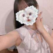 ヒメ日記 2025/11/24 08:30 投稿 みほ CECIL