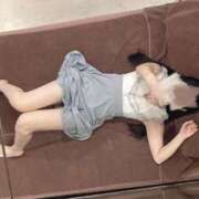 みほ 準備中！ CECIL