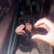 ヒメ日記 2025/11/30 17:32 投稿 うさ スピード難波店