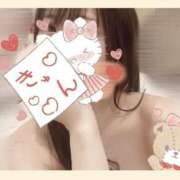 ヒメ日記 2026/02/01 01:46 投稿 いろは ギャルズネットワーク神戸